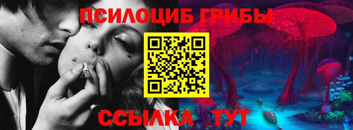 Галлюциногенные грибы Magic Shrooms  Псилоцибиновые грибы Cubensis  Конаково  Вход с VPN 